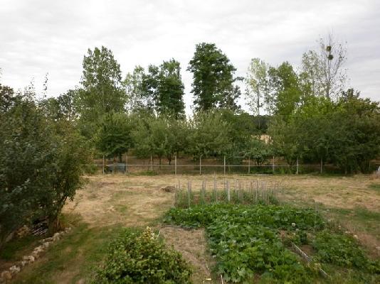 backyard and orchard
