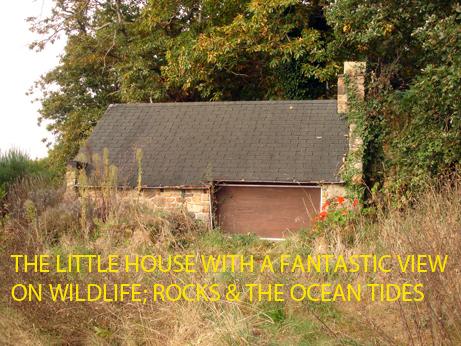 The little house/hut